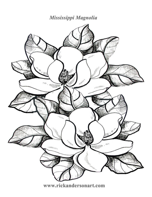 612x792 Magnolias,tree House, And More