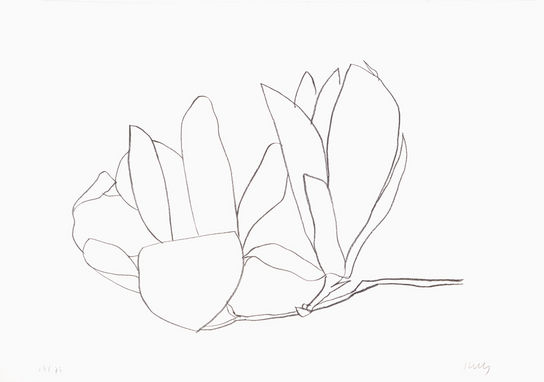 544x382 Shine Brite Zamorano September 2010