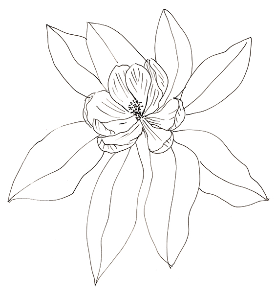 567x609 Sketch Ella's Place