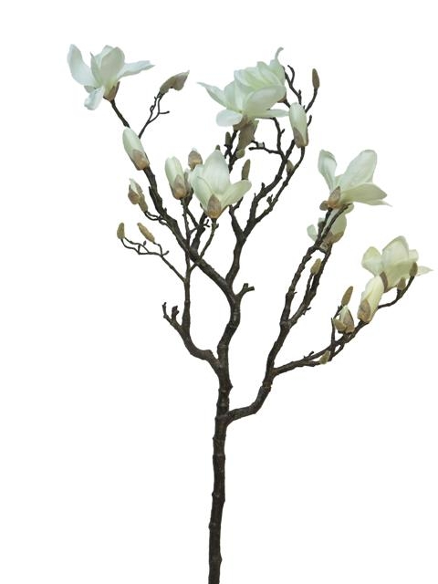 480x640 Magnolias Shop