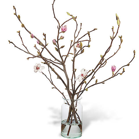 480x480 Bouquet Magnolia With Vase Order And Deliver