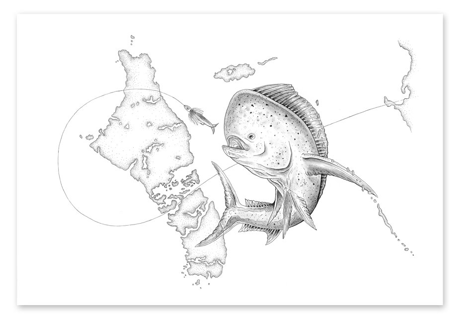 936x648 Thedriftgallery Mahi Mahi And Andros, Bahamas