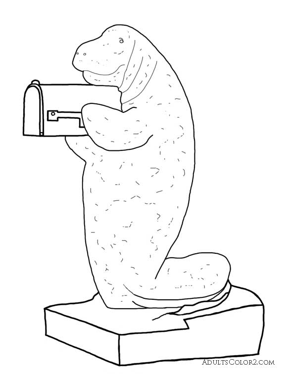 584x756 Manatee Pictures Sea Cow Coloring Page