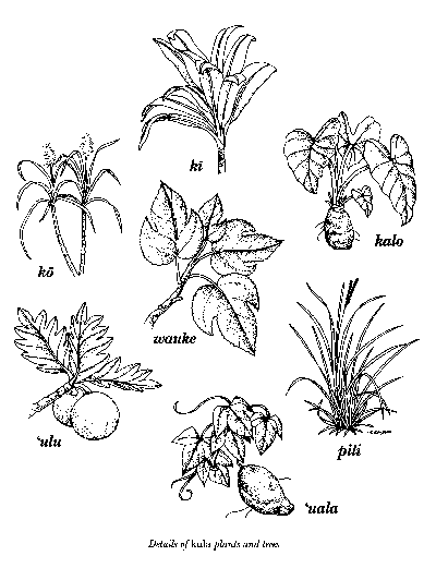 400x532 Ulukau From The Mountains To The Sea Early Hawaiian Life