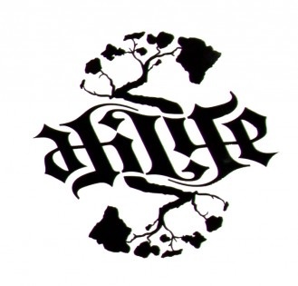 329x315 29 Best Hawaiian Images On Flags, Hawaiian