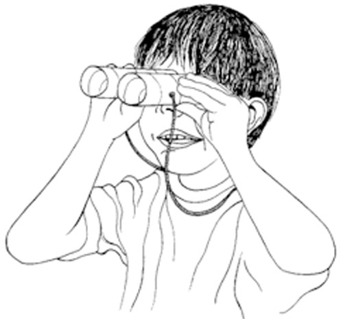 500x465 Toilet Paper Roll Bird Binoculars Crafts For Kids