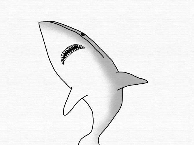 Mako Shark Drawing at GetDrawings | Free download