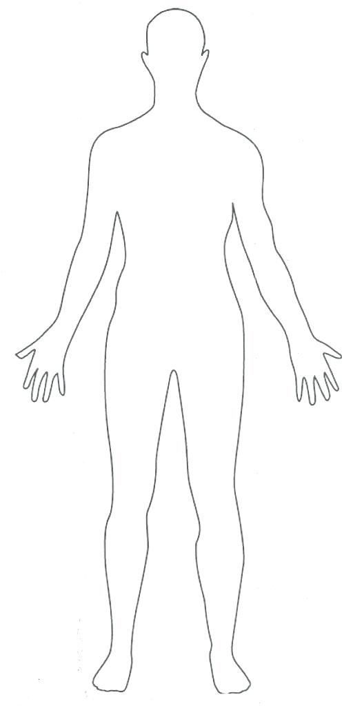 Template Of A Body