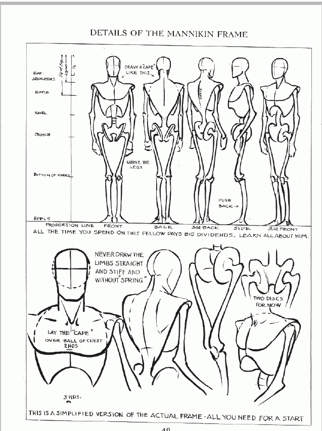 637x854 Male Figure Drawing Natasha Crowley