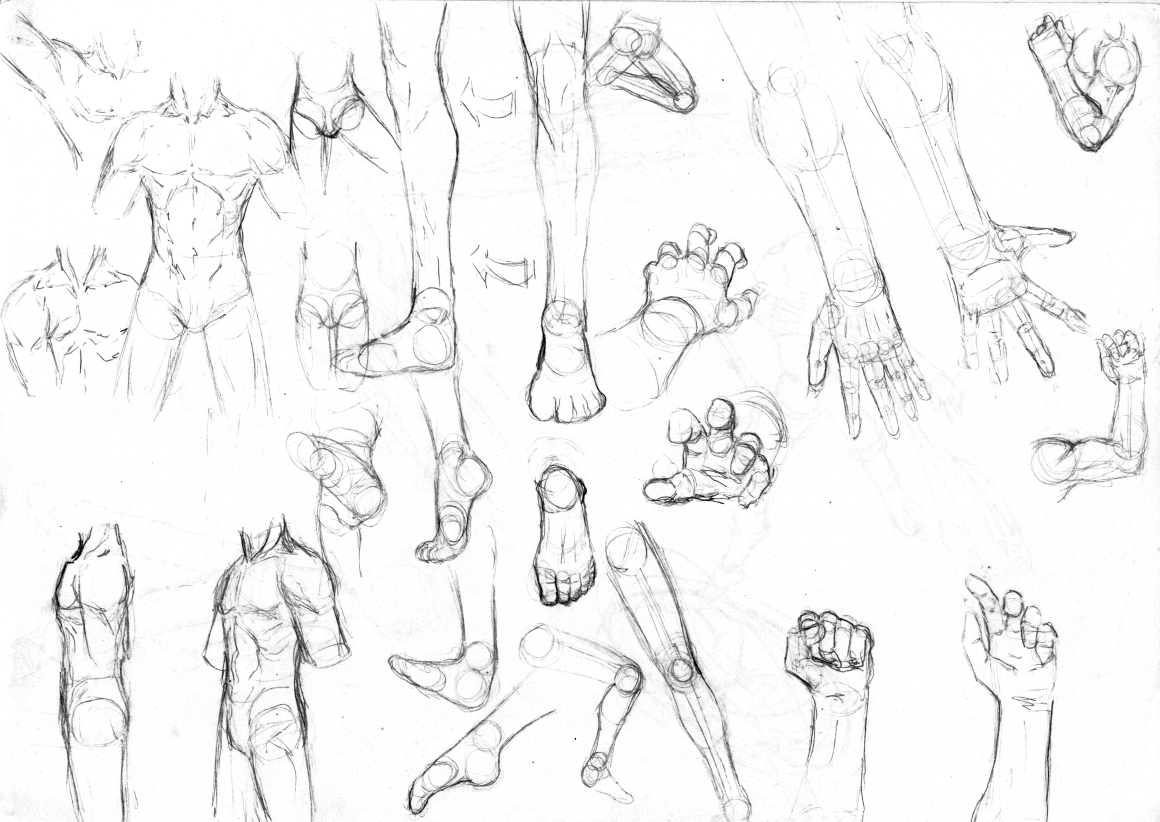 1160x822 How To Draw Anime Full Body Boy Drawn Manga Male Drawing