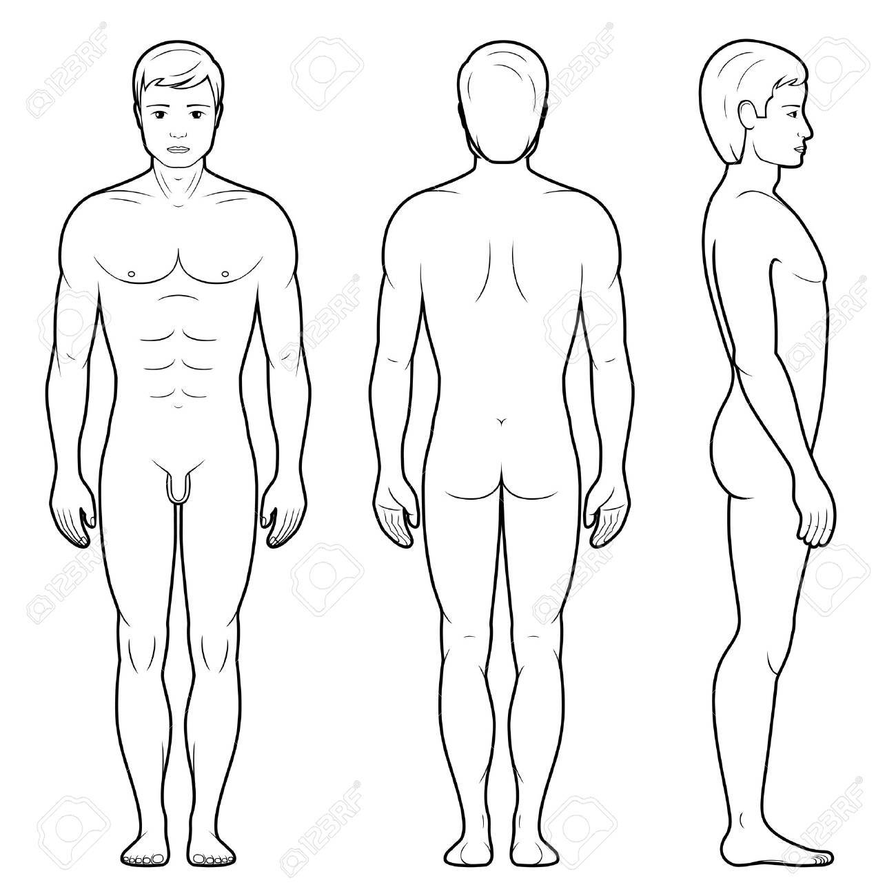 1300x1300 Vector Illustration Of Male Figure