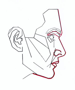 300x361 Face Variations By Sex