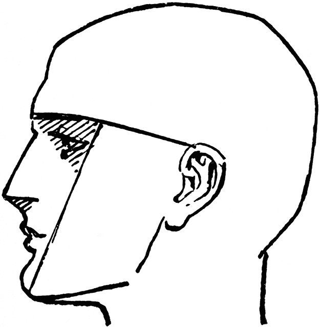 625x640 Side Profile Clipart Etc