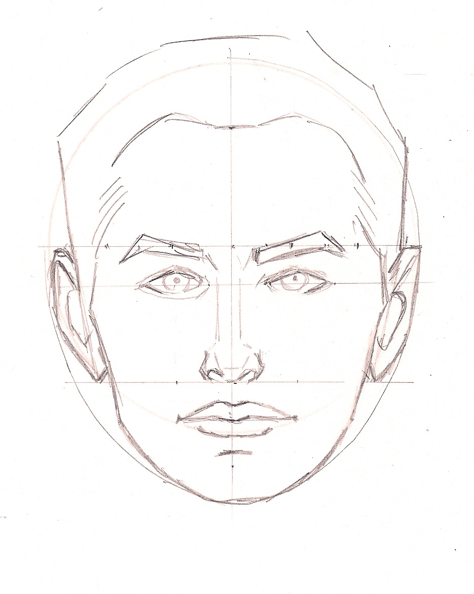 935x1170 Face Proportions Drawing Tutorials