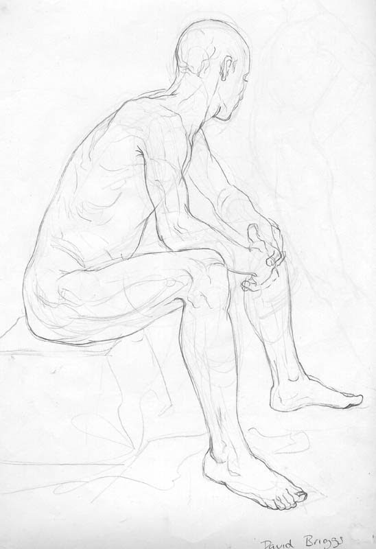 548x800 Life Drawing