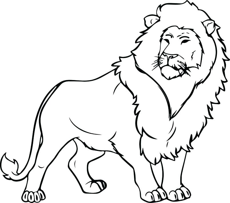 805x710 Here Are Lion Coloring Page Pictures Click To See Printable
