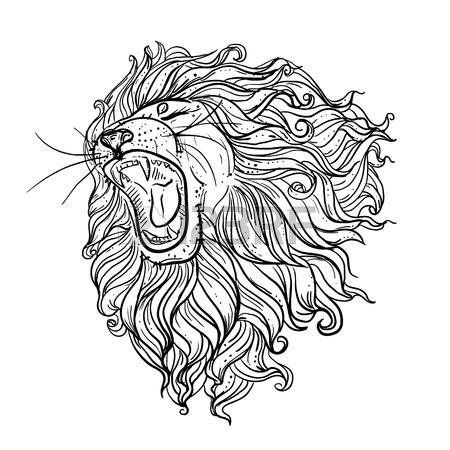 450x450 Lion Drawing. Mature Male Lion And Lionet On White. Vector
