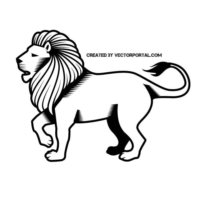 660x660 Male Lion Illustration