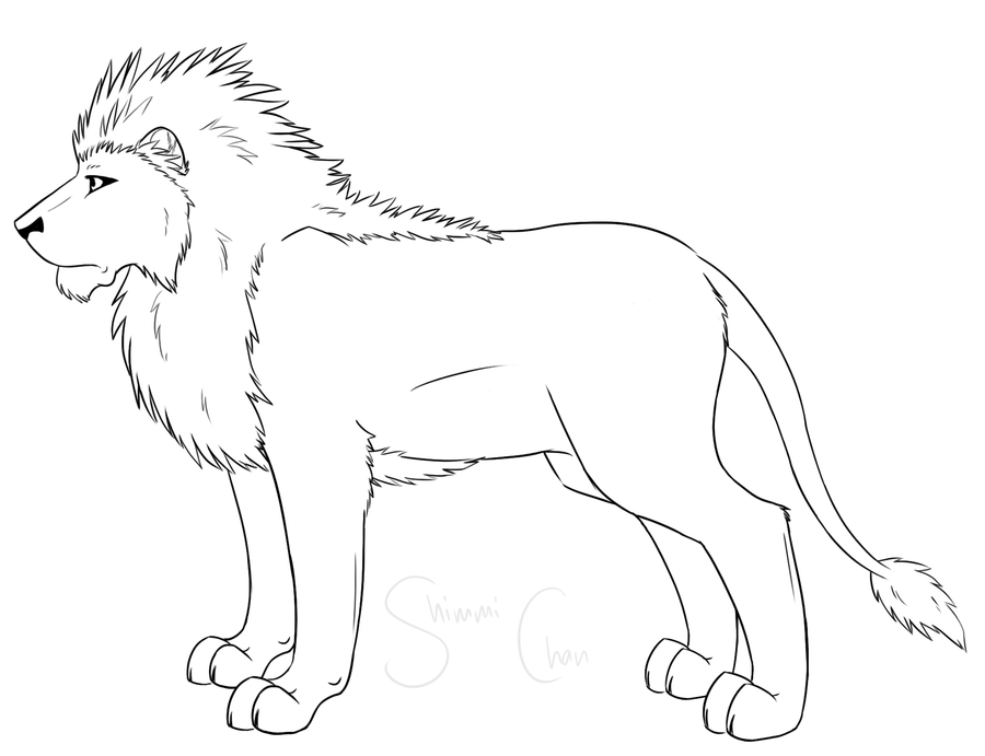 900x691 Male Lion Lineart By Shimmidragon