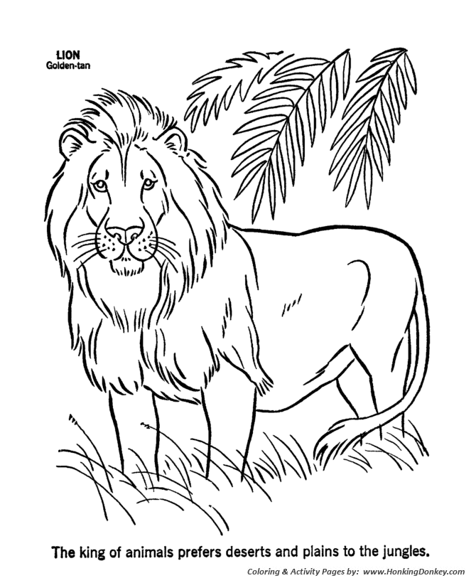 670x820 Wild Animal Coloring Pages Male Lion Coloring Page And Kids