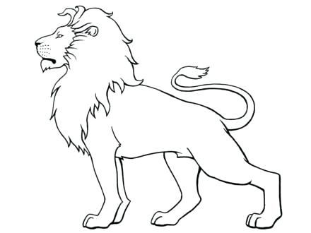 440x330 Coloring Pages Draw A Lion For Kids Cartoon Male Lion Coloring