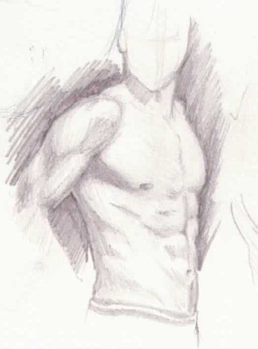 525x709 Isa Male Torso By Steenhuisen
