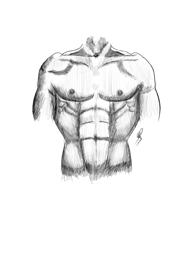 768x1024 Male Torso Draw Practice By Wearemehuh