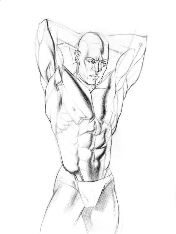 600x800 How To Draw And Shade The Human Torso How To Make A Drawing