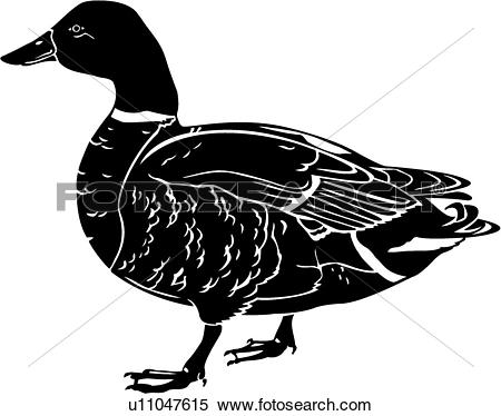 450x374 Top 90 Mallard Clip Art