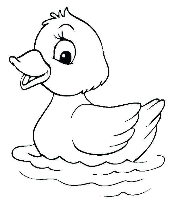 660x791 Duck Color Page How To Draw Flying Mallard Duck Coloring Pages