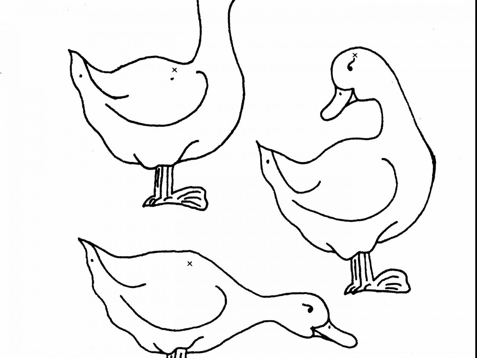 1600x1200 Coloring Printableuck Coloring Pages For Kids Free Outstanding