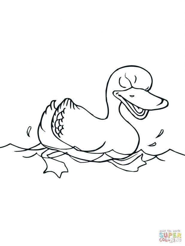 618x824 Two Mallard Ducks 135 Astonishing Coloring Pages Of Swimming