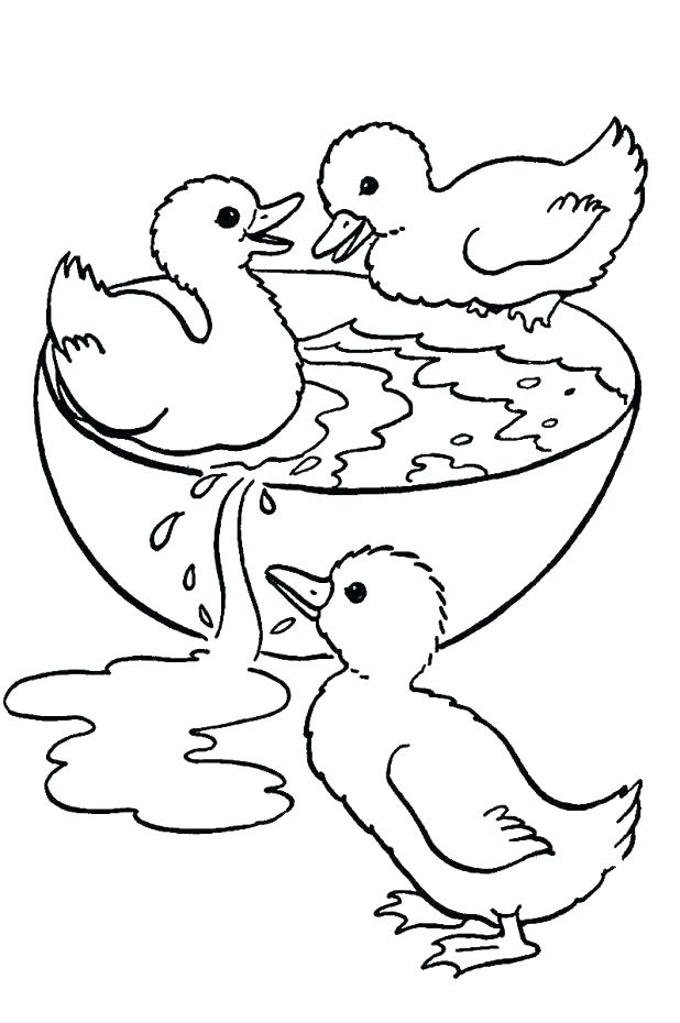 618x930 Coloring Pages Ducks Coloring Pages Of Ducks How To Draw Flying