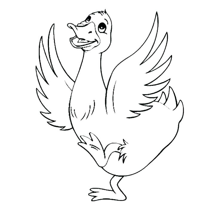 720x699 Duck Color Page Coloring Pages Of Ducks Duck Color Page Coloring