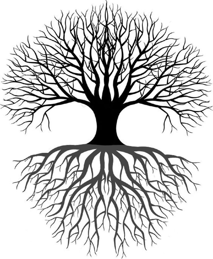 736x894 57 Best Pencil Drawings Images On Drawings, Draw