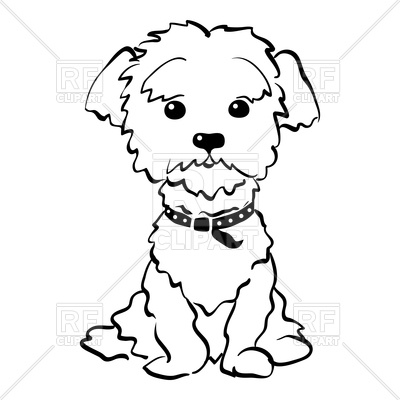 400x400 White Clipart Maltese