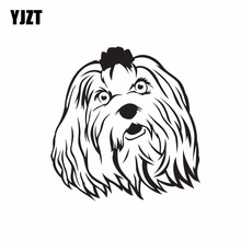 220x220 Buy Maltese Dog Puppies And Get Free Shipping