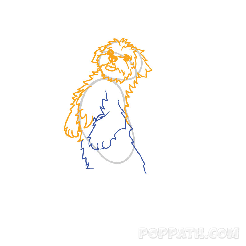 800x800 How To Draw A Maltese Pop Path