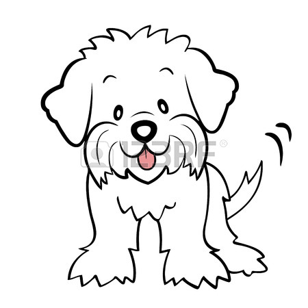 450x450 Puppy Cut Maltese Isolated Royalty Free Cliparts, Vectors,