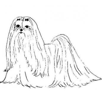 345x350 Club Of Victoria, Inc.