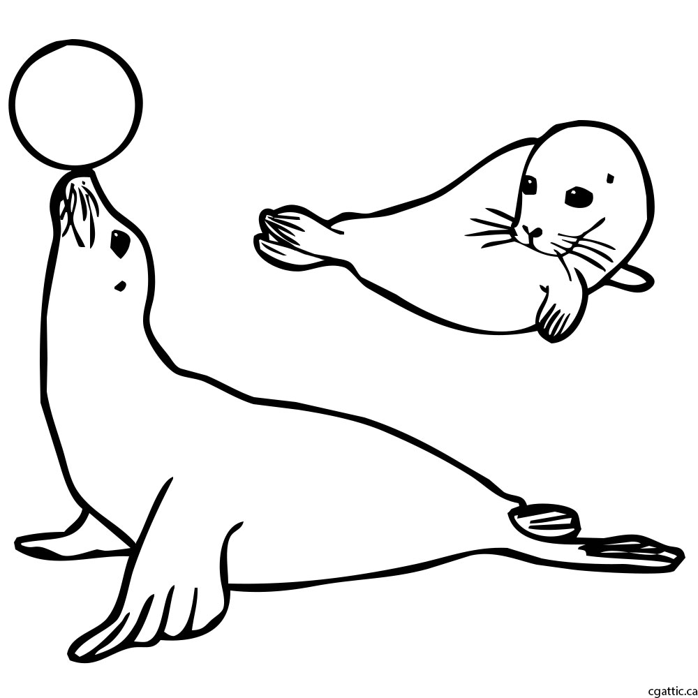 1000x1000 Cartoon Seal Drawing In 4 Steps With Photoshop