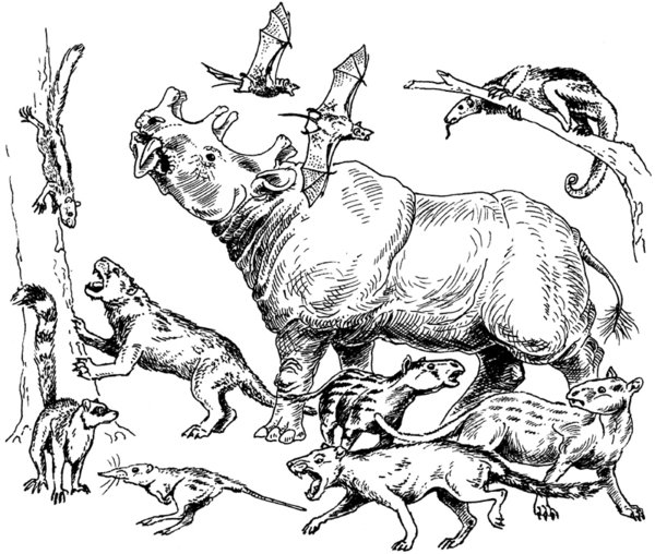 600x508 Eocene Mammals By Batworker
