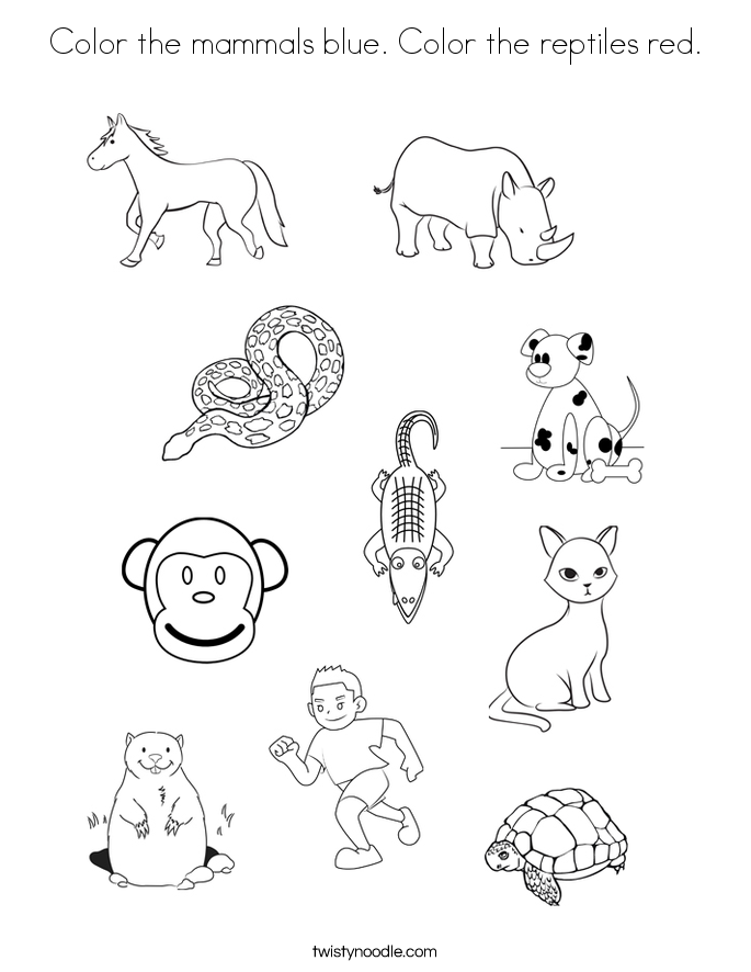685x886 Mammals Coloring Pages