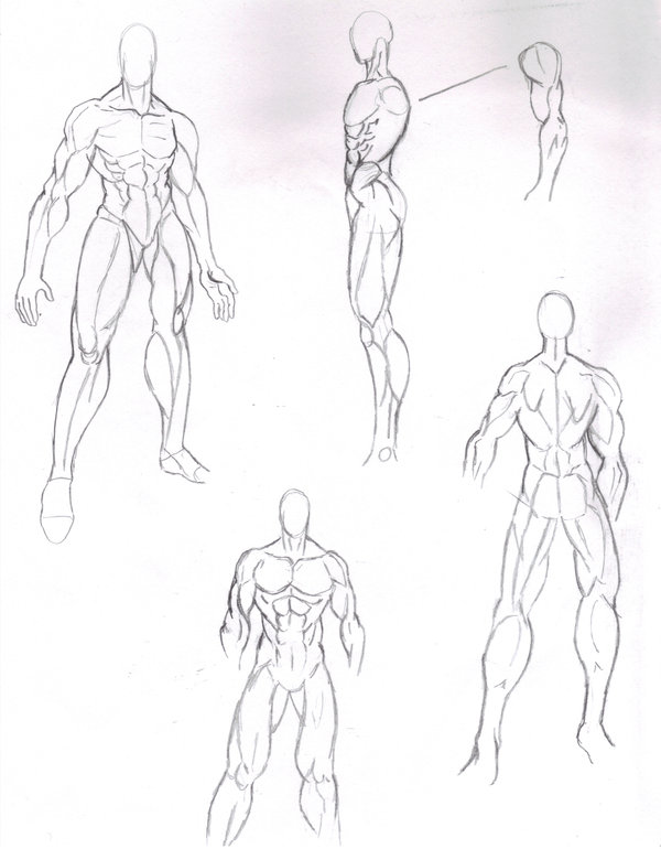 600x770 Manga Male Body Structure By Tiffawolf On Anatomy