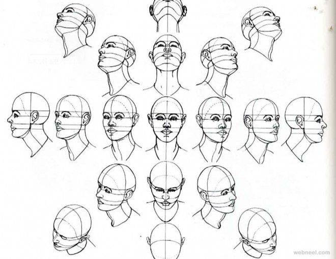 660x508 How To Draw A Face