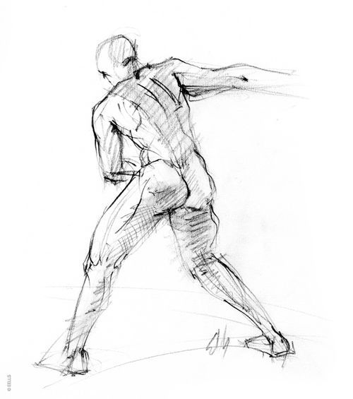 500x565 Figure Study