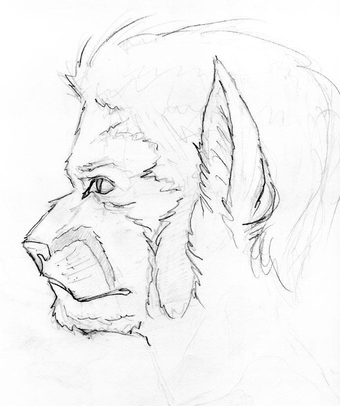 691x824 Tiger Man Profile By Pyrosity