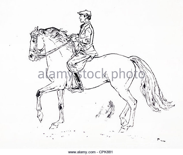 635x540 Black Man Riding Horse Cut Out Stock Images Amp Pictures