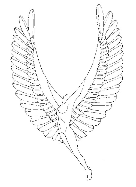 447x613 Skydivers Who Traded In Their Parachutes For Wings