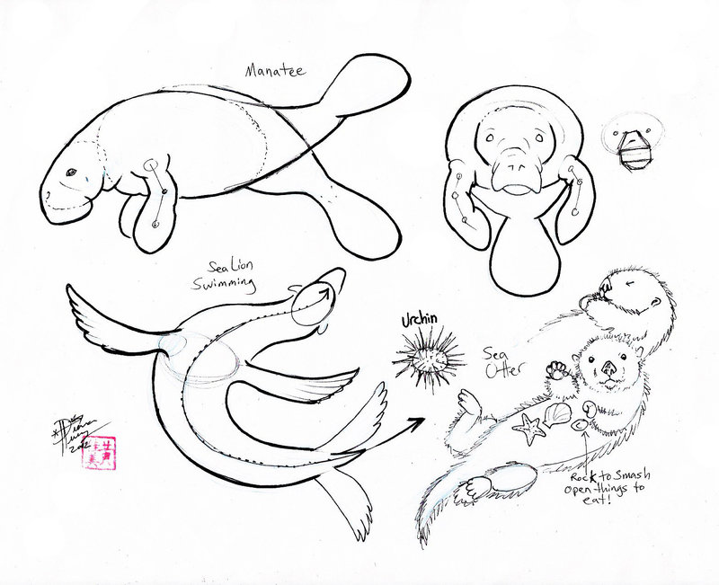 800x651 Draw Manatee, Sea Otter Etc. By Diana Huang